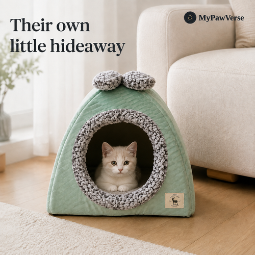 A small cream-and-white cat resting naturally inside the BowHaven cat cave