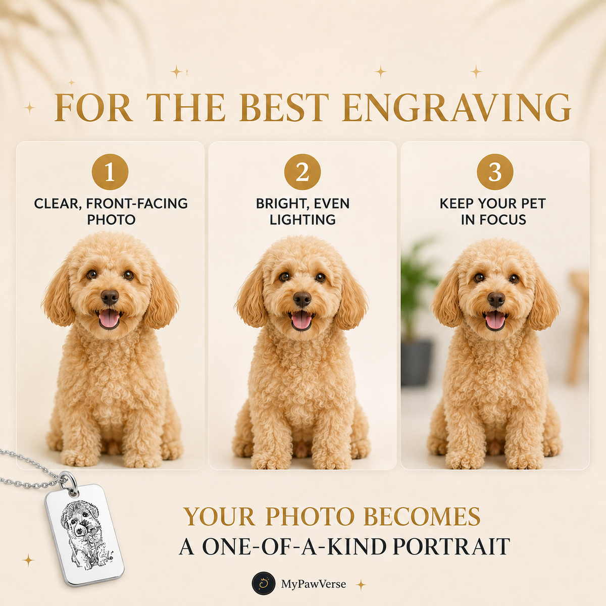Photo tips for the best personalized pet portrait engraving