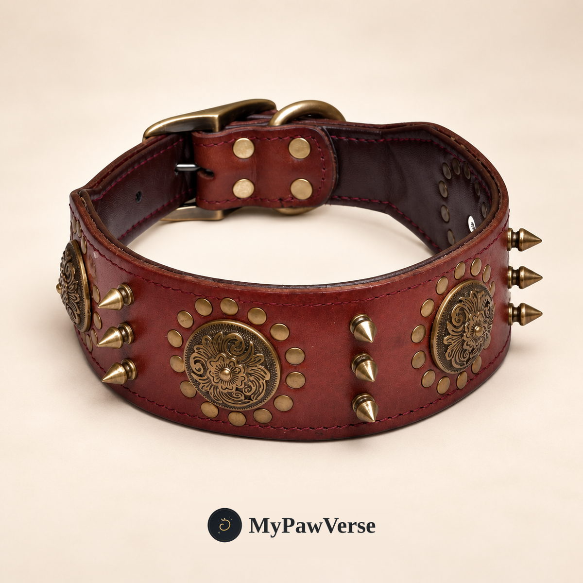 PawHeritage studded leather dog collar in Brown