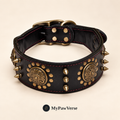 PawHeritage studded leather dog collar in Black