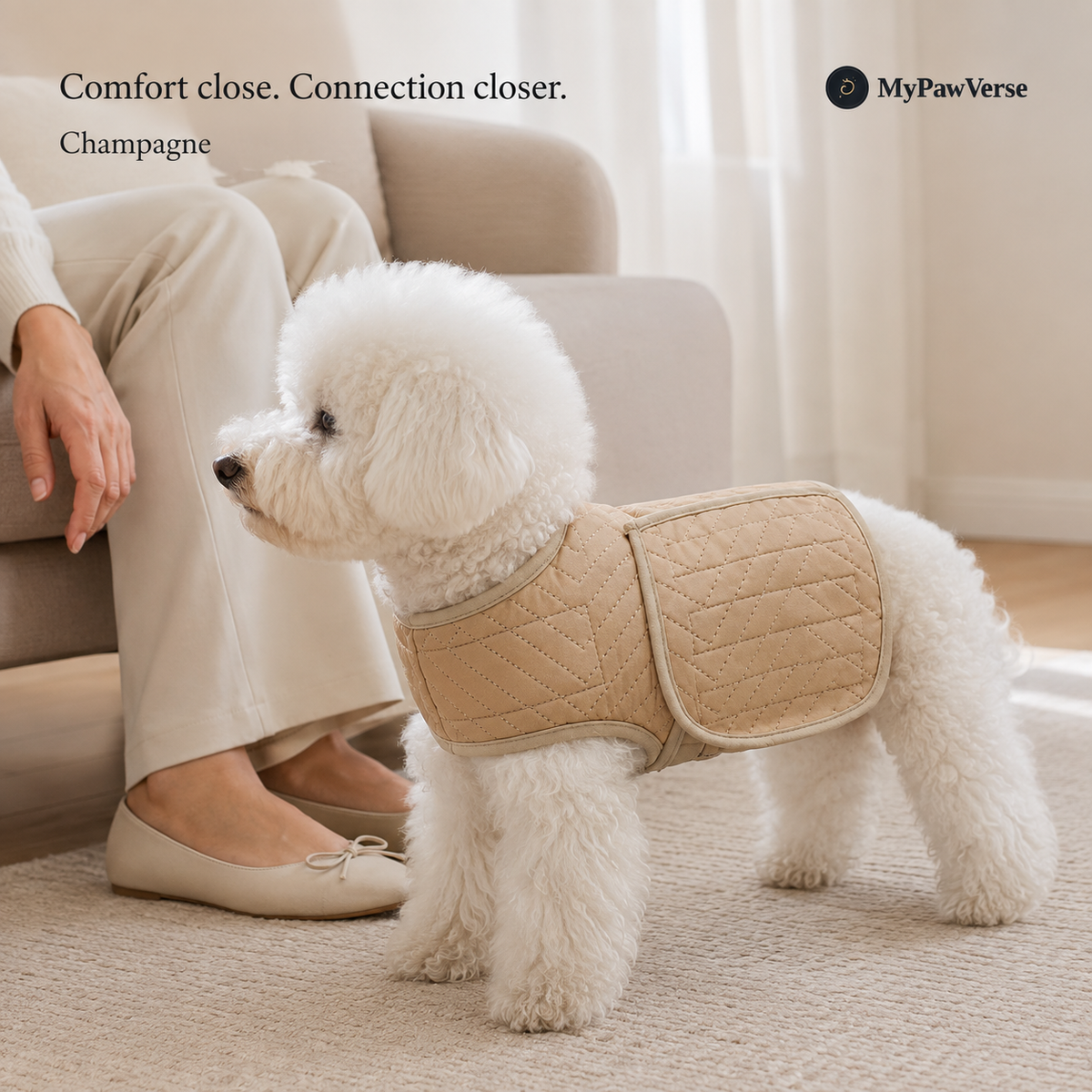 PawSerene wrap in Champagne with matching trim, worn by a white dog beside its owner