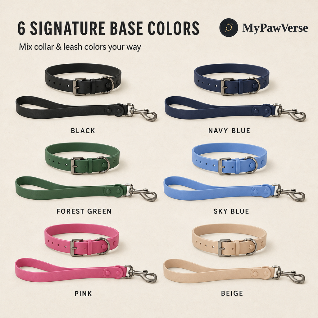 Six PawSignature collar and leash base colors: Black, Navy Blue, Forest Green, Sky Blue, Pink and Beige