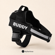 Personalized Dog Harness with Custom Name Patch – No-Pull & Reflective
