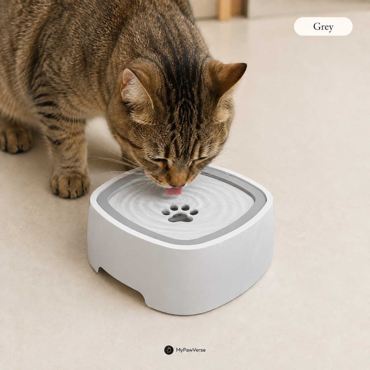 Tabby cat drinking from Grey SplashStop water bowl
